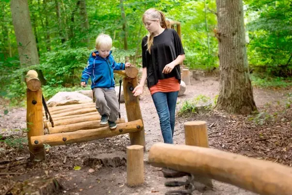 Bjelkebro i robiniatre