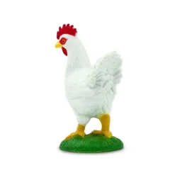 Bondegårdsdyr høne hvit