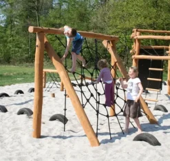 Core robinia spidernett