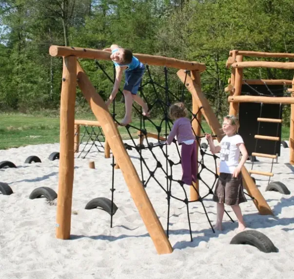 Core robinia spidernett