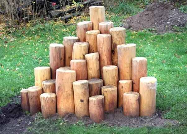 Core robinia stubbepyramide