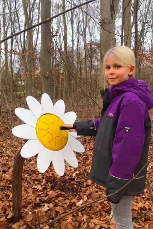 Daisy petal drum forankring i jord