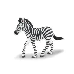 Eksotiske dyr zebra