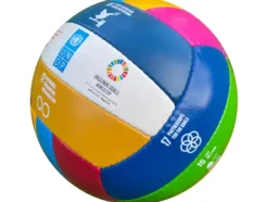 Global Goals volleyball