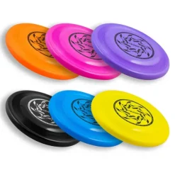 Guru Frisbee