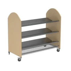 Holken skovogn bjørk