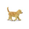 Hund golden retriver
