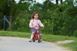 Mini Viking gåsykkel