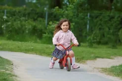 Mini Viking gåsykkel