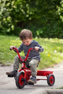 Mini Viking trehjulsykkel med lasteplan