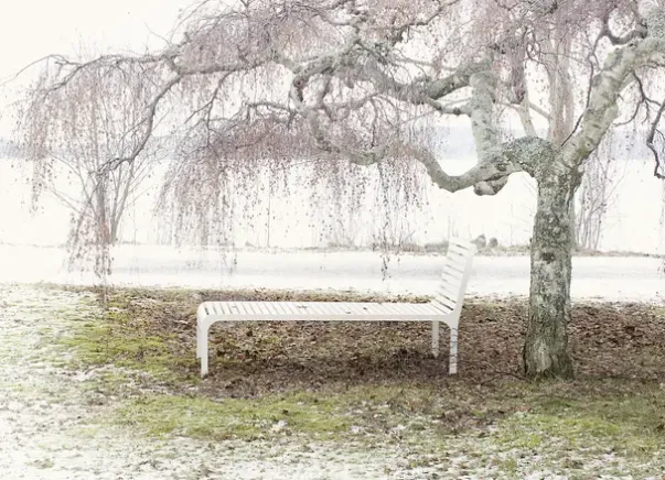 Nonstop Reading divan