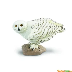 Nordiske dyr snøugle