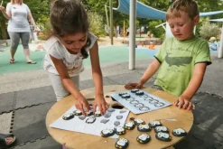 Pingviner kodesteiner