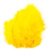 Påskefjær gule