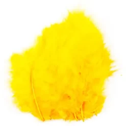 Påskefjær gule