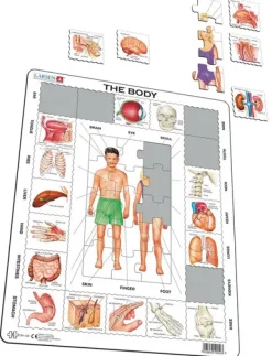 Puslespill kroppen vår