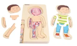 Puslespill lag-på-lag kroppen gutt