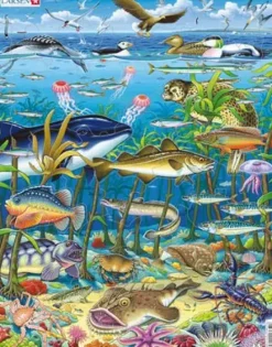 Puslespill nordisk hav