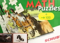 Puslespill/mattespill med addisjon