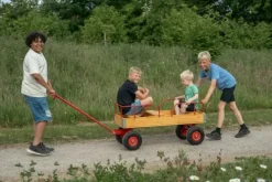 ROSE dravogn med 3 seter