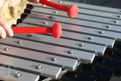 Soprano quartet ensemble forankr. i jord