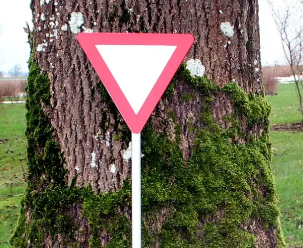 Trafikkskilt Vikeplikt