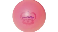 Trial Butterfly Primo volleyball