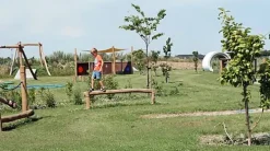 Trigonor Basic balansebom