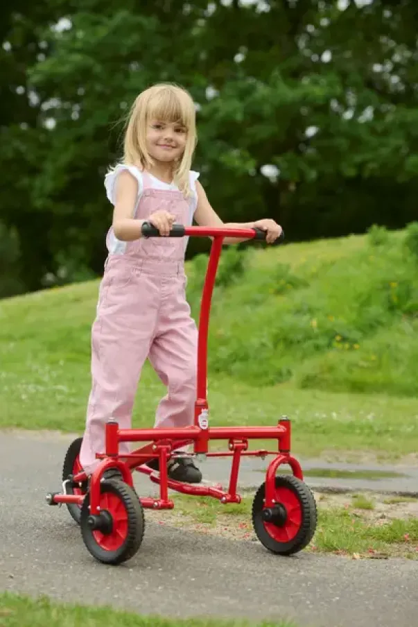 Viking Challenge Step Roller