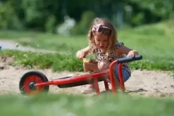 Viking Challenge trillebår