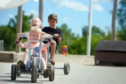 Viking Explorer Easy Rider