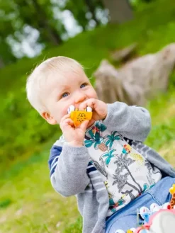 Viking søte kjøretøy